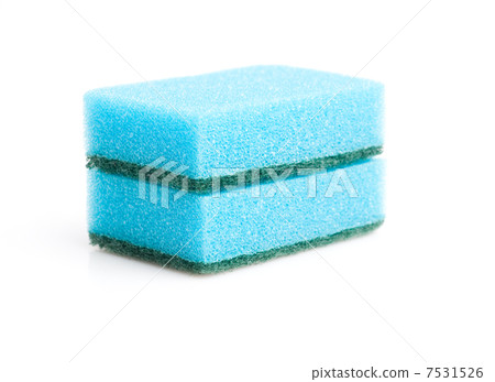 Sponge Sponge 7531526