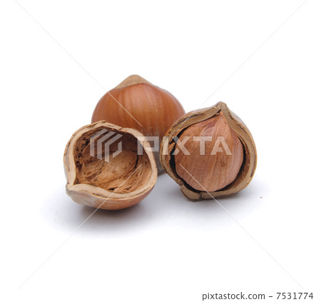 Hazelnuts Hazelnuts 7531774