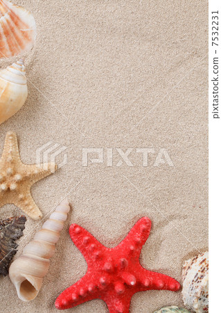 Sea shells with sand 7532231