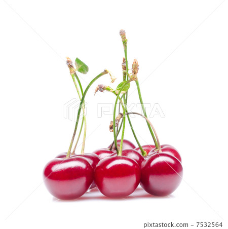 Cherry Cherry 7532564