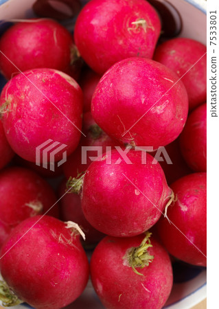 Fresh radish Fresh radish 7533801