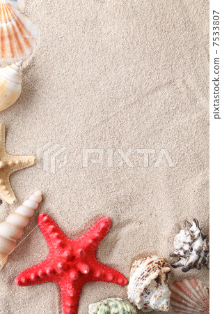 Sea shells with sand Sea shells with sand 7533807