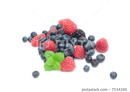 Wood berries Wood berries 7534260