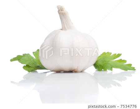 Garlic 7534776