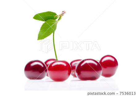 Cherry 7536013