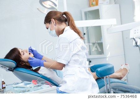 woman dentist working woman dentist working 7536468