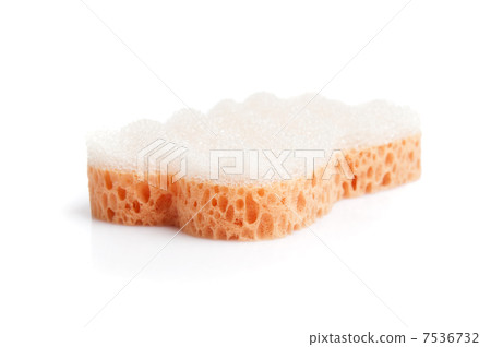 Sponge 7536732