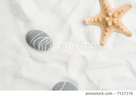 Seastar Seastar 7537176