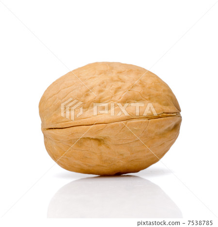Walnut Walnut 7538785