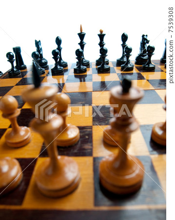 Chess 7539308