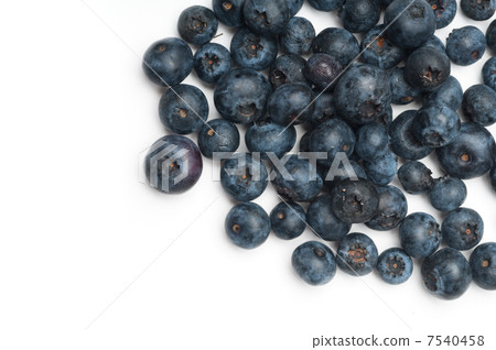Blueberry 7540458