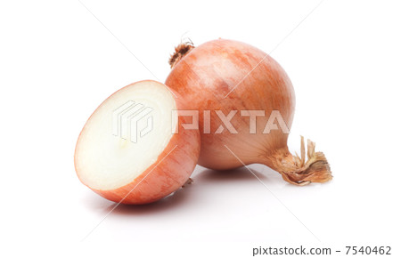 Onion Onion 7540462