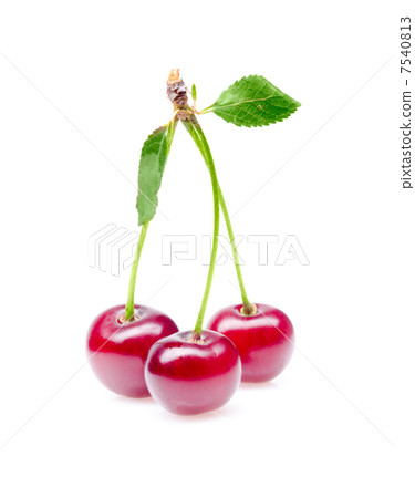 Cherry Cherry 7540813