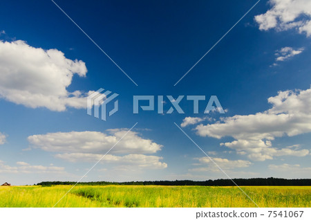 Sky 7541067