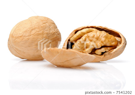 Walnut Walnut 7541202