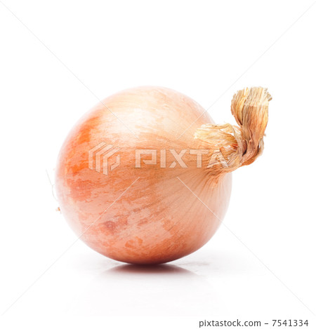 Onion Onion 7541334