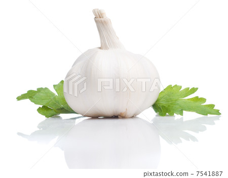 Garlic Garlic 7541887