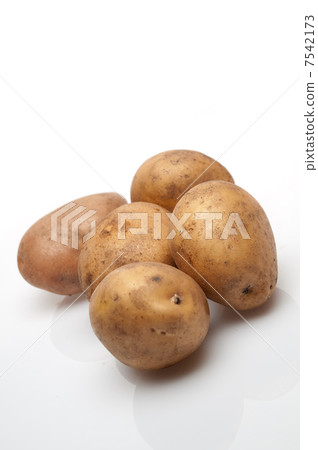 Potatoes 7542173