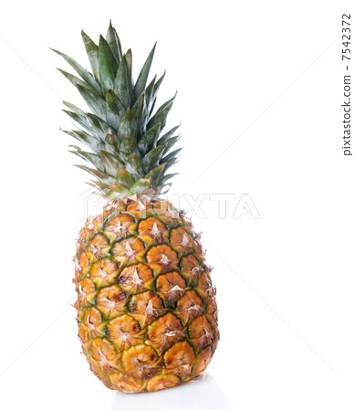 Pineapple 7542372