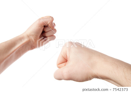 Fight! Fight! 7542373