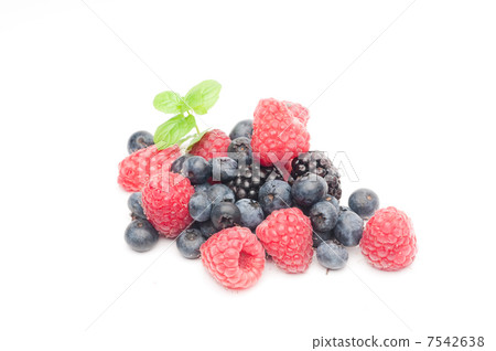 Wood berries Wood berries 7542638