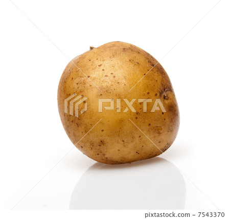 Potato Potato 7543370