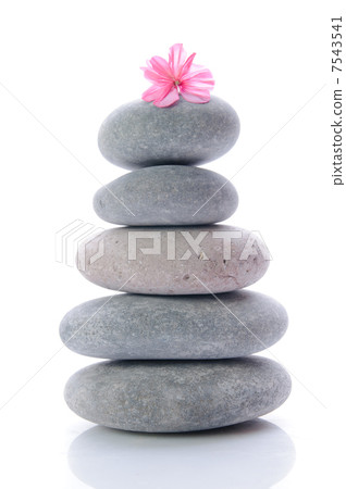 Massage gray stones Massage gray stones 7543541