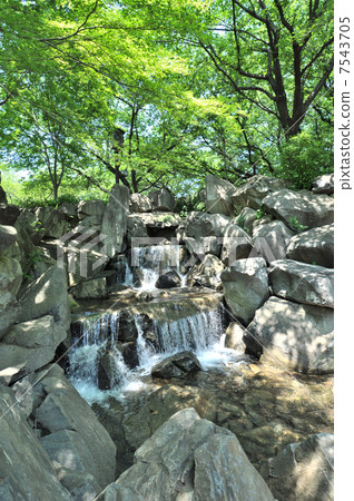 Asukayama Park Asukayama Park 7543705