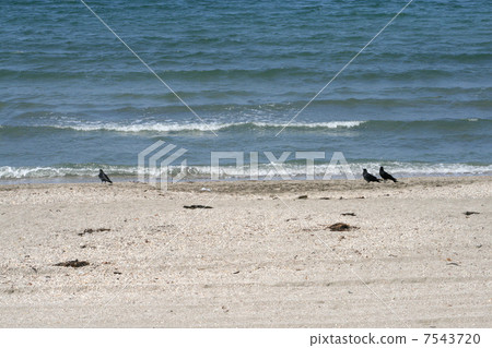 Visit the Zushi Coast where there is a natural coastline 7543720