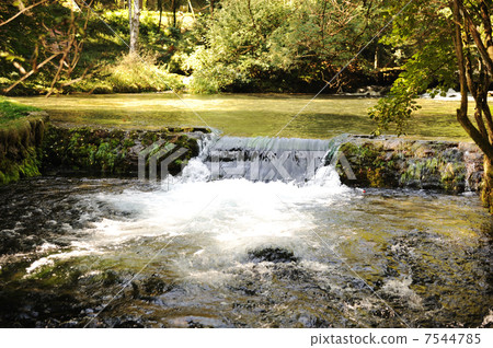 River in nature River in nature 7544785