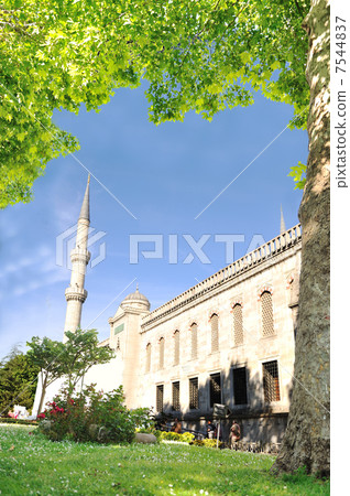 Istanbul 7544837