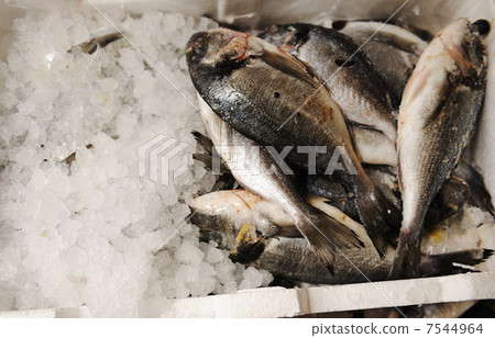 fresh fish at market 7544964