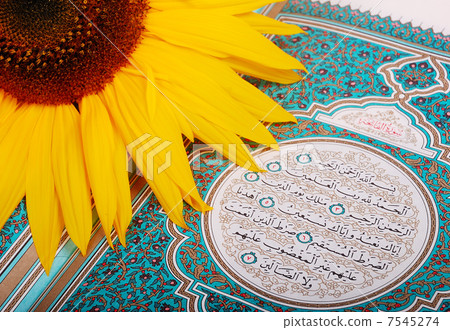 Rose/flower put on holy Islam book Koran Rose/flower put on holy Islam book Koran 7545274