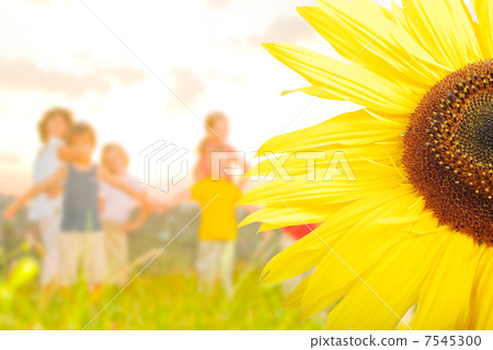 Happy childhool on green meadow, behind sunflower 7545300