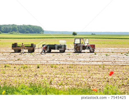 tractor with plow on field tractor with plow on field 7545425