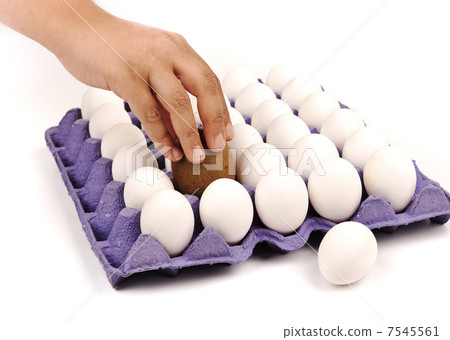 Kiwi, pretending to be an egg. White background. Replacement. Human action. 7545561