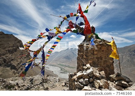 flags flags 7546160