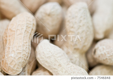 peanut peanut 7546848