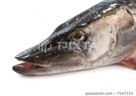 pike 7547233