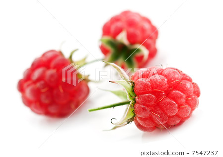 raspberry 7547237