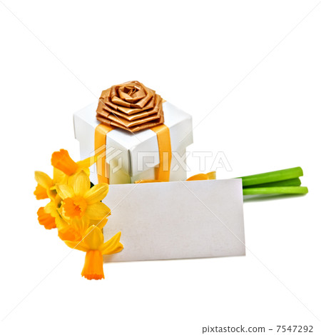 card card 7547292