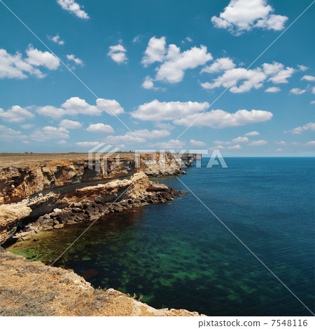 sea sea 7548116