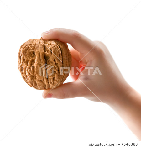 walnut walnut 7548383