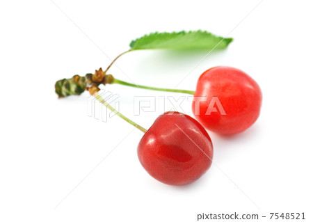 cherry cherry 7548521
