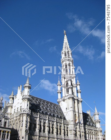 布魯塞爾大廣場 7548795