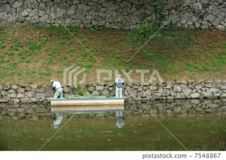 Hikone城堡Uchihigori的清潔 7548867