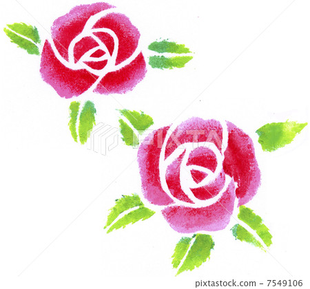 rose rose 7549106