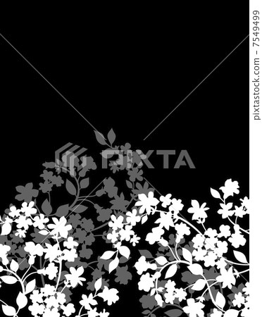 Pattern of vegetable pattern 7549499