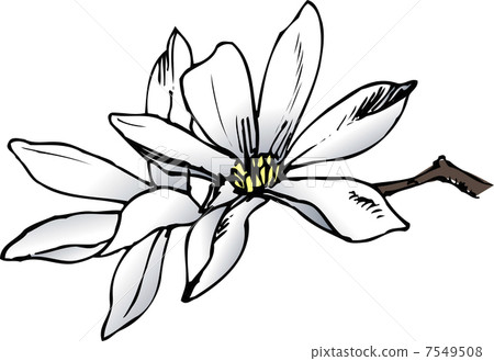 拳頭 拳頭 7549508