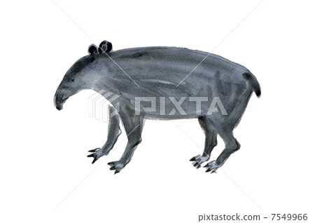 巴庫 巴庫 7549966